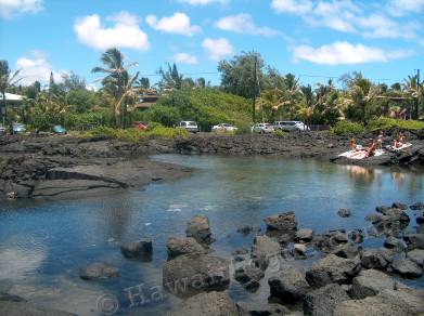 Kapoho tidepools picture