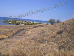 puukohola cement path