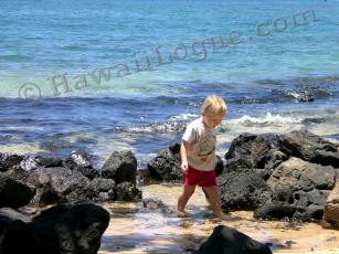 the extreme right edge, little fish and crabs hide among these rocks