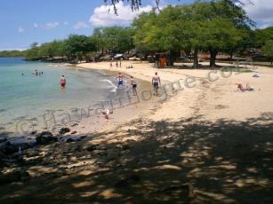 beach view from the left side