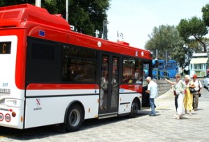 sorrentobus