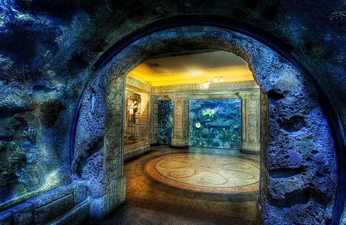 Mandalay Bay's Shark Reef Aquarium is one of the most popular attractions on the Las Vegas Strip.