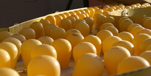 Neon Boneyard Museum - Lightbulbs