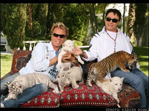 Siegfried & Roy with tigers