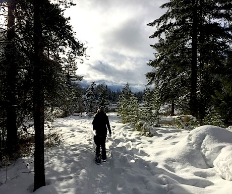 Snowshoeing