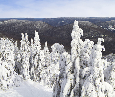 mont tremblant