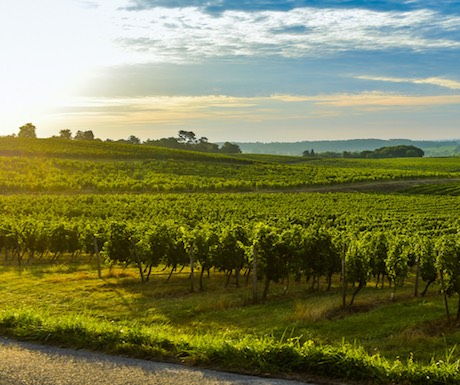 Top 5 Foodie Cities in Europe