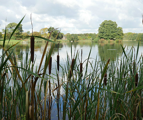 Dearnford Lake