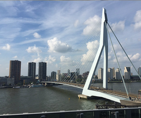 Erasmus Bridge from Nhow Bar