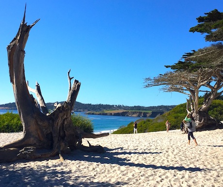 Save Time to Walk the Carmel Beach