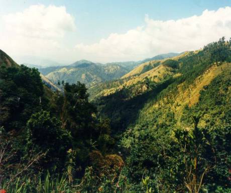 JTB Blue Mountain Jamaica