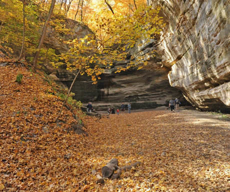 Canyon Starved Rock