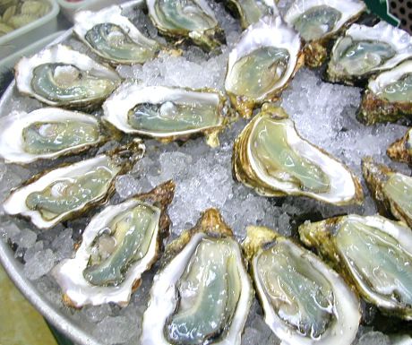 Oysters photo