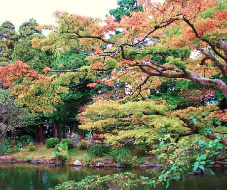 5. 12.00 Naritasan Park