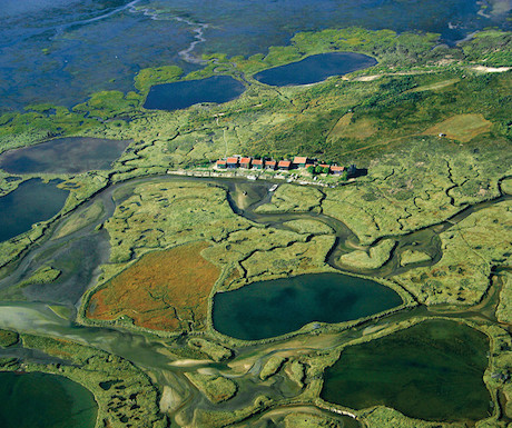 ile-aux-oiseau