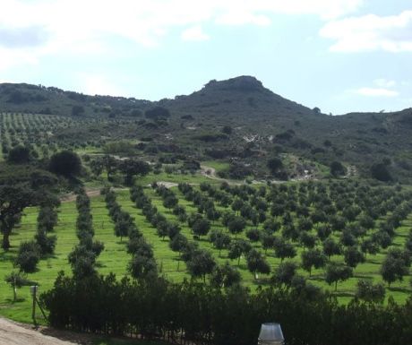 Finca la Torre