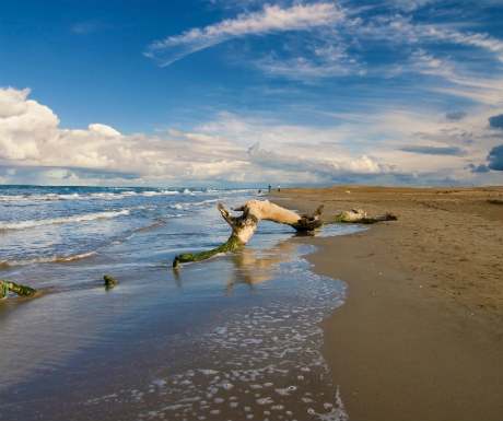 Delta de l-Ebre Catalonia Magical Landscape