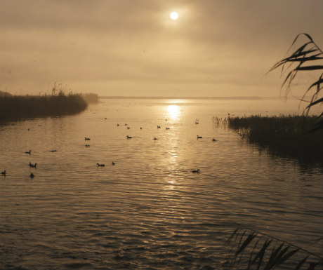 Delta Ebro Sunrise