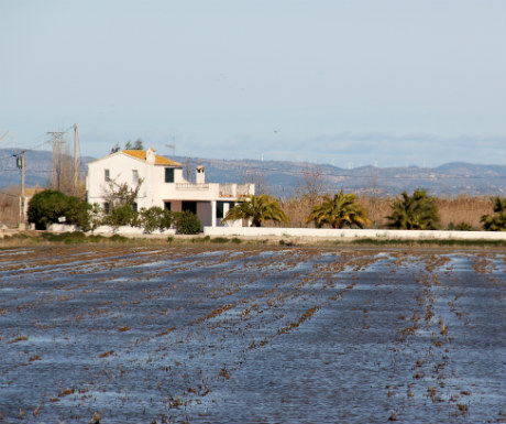 Delta Ebro Houses