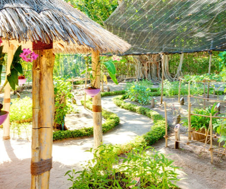 Lux Maldives Herb Garden