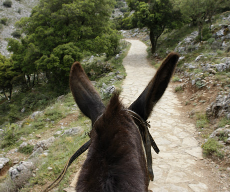 Donkey ride to Zeus cave