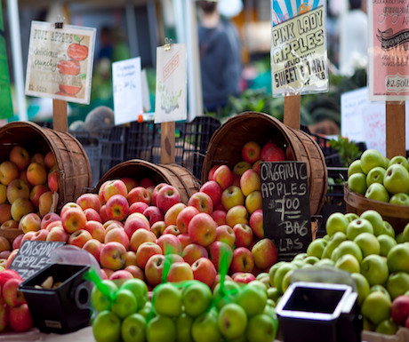 Hollywood Farmers Market