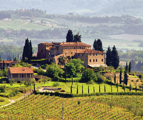 Truffles in Italy