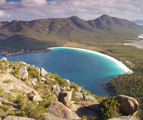 Wine in Tasmania