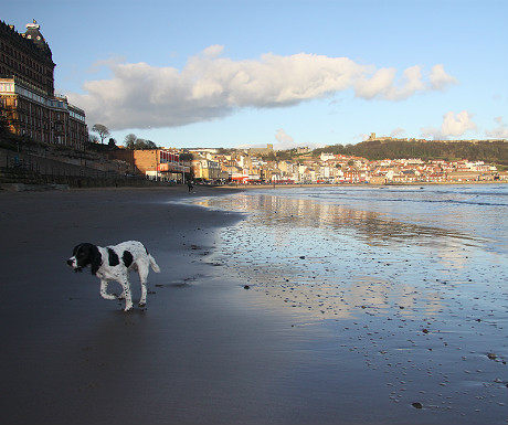 Walk on Scarborugh South Beach