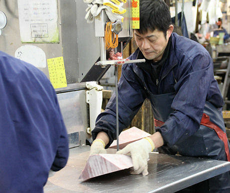 Frozen tuna in a band saw