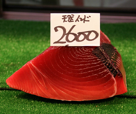 Tuna for sale