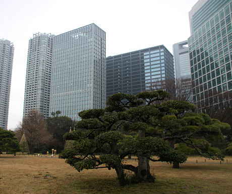 Hama-rikyu Gardens