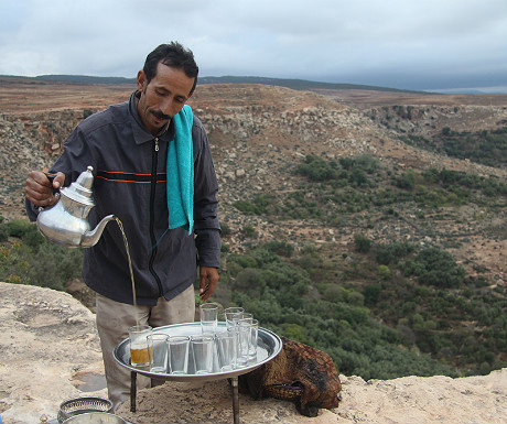 Moroccan tea