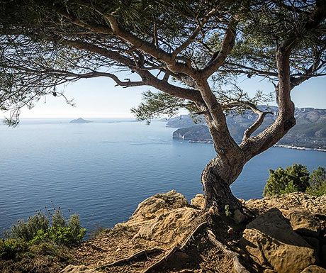 Marseille cliffs