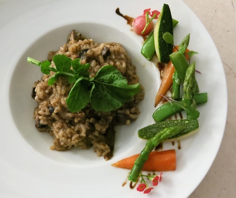 Ayada - RISOTTO