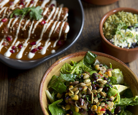 Duck confit enchilada with side salad