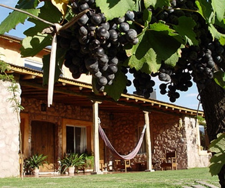 Finca Adalgisa, Charcas de Coria, Mendoza