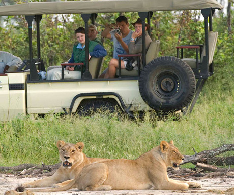 Chitwa Chitwa safari