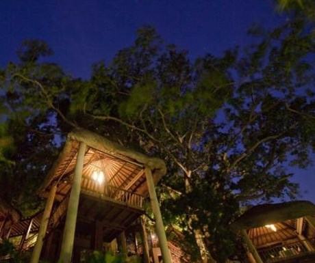 Tree Tops, Koh Samui