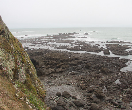 Lizard Point