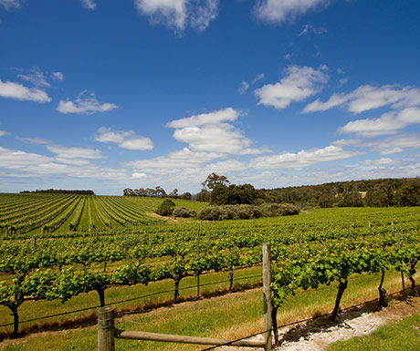 Margaret River, Australia