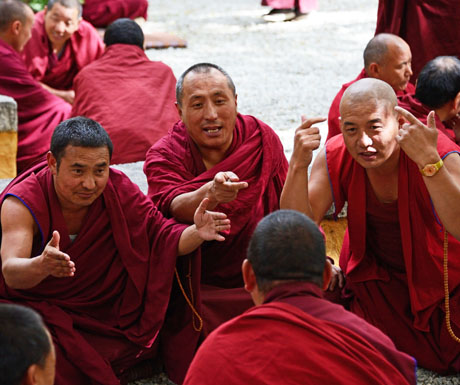 Sera Monastery monks