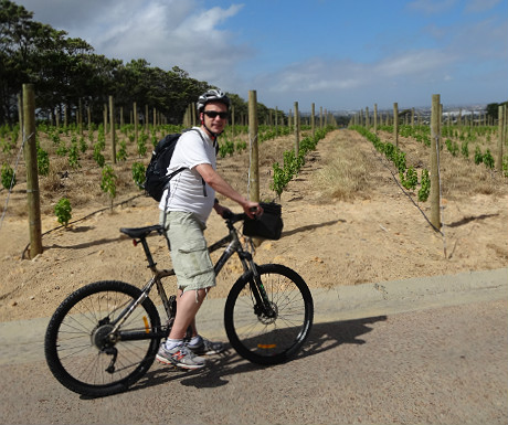 Cyling around the wineries