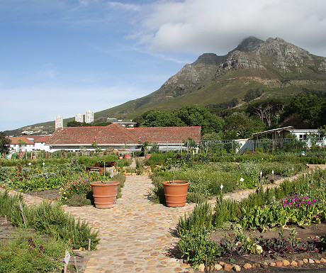 Oranjezicht City Farm