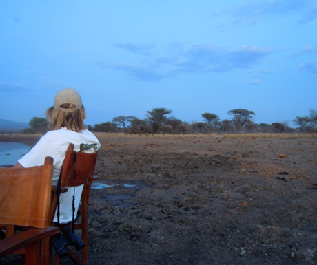 Manyara Ranch's Dam