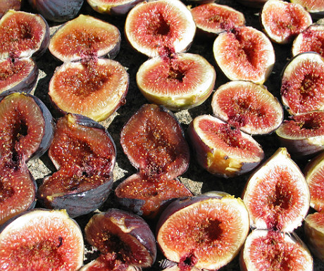 Figs