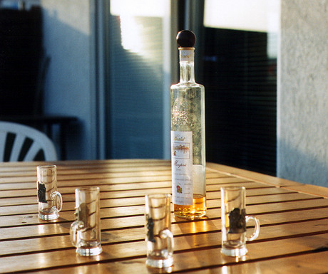 Grappa tasting