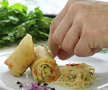 Kopps Spring roll