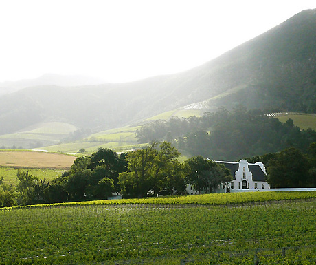 Groot Constantia