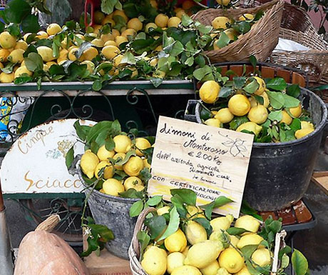 Monterosso Lemon Festival